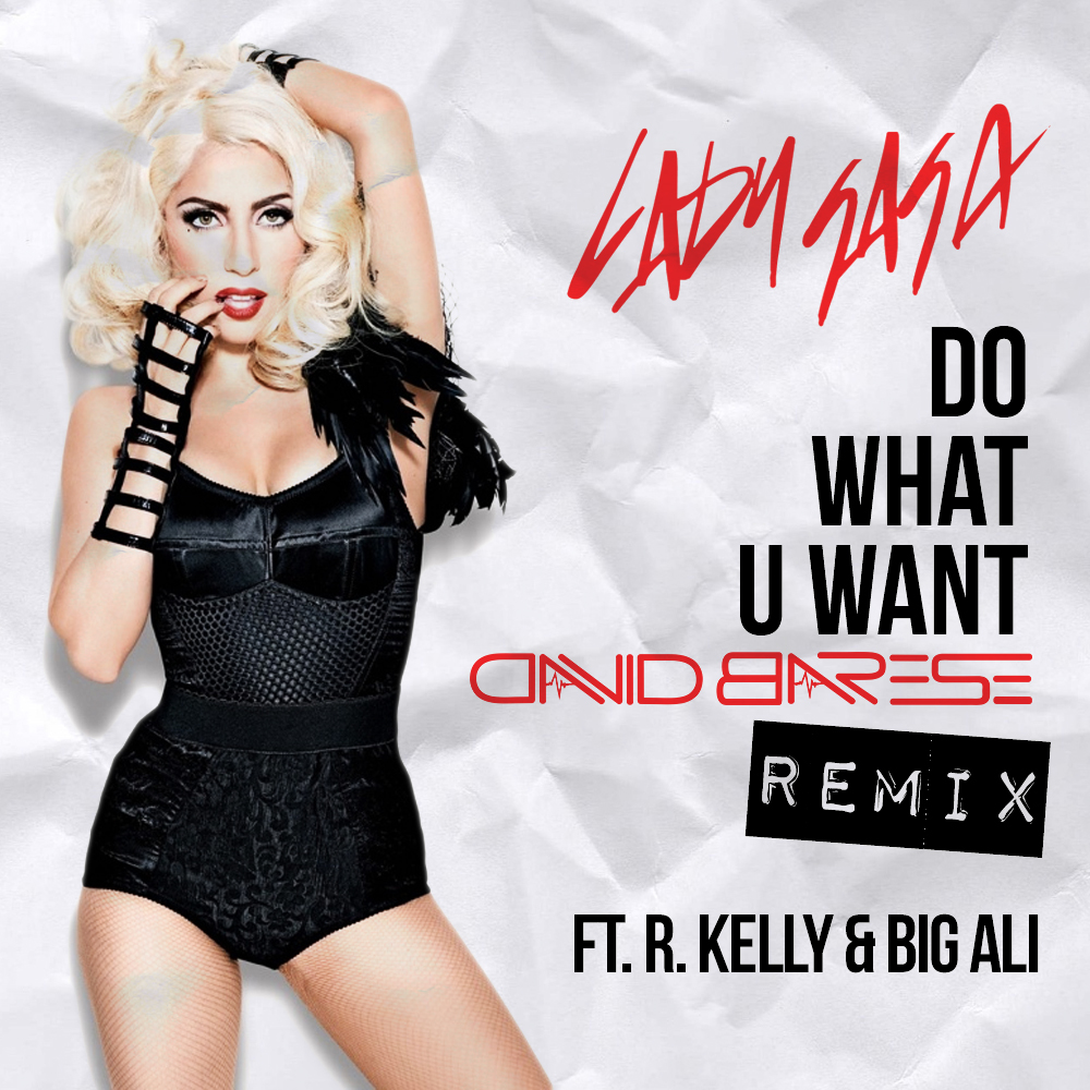 Do What U Want Lady Gaga Ft R Kelly Big Ali Virdiko