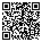 brizzy  QR Code