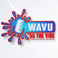 WAVU DB 55 The Vibe Photo