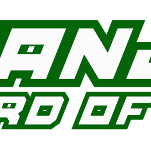 Sanjay Lord of Remix Logo