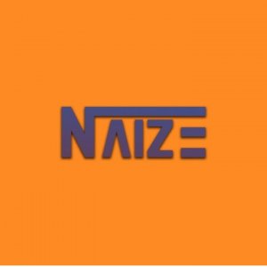 Naize Logo