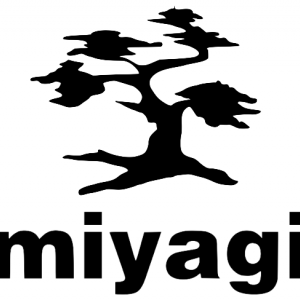 Miyagi Photo