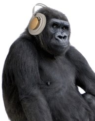 Dj King Kong Photo