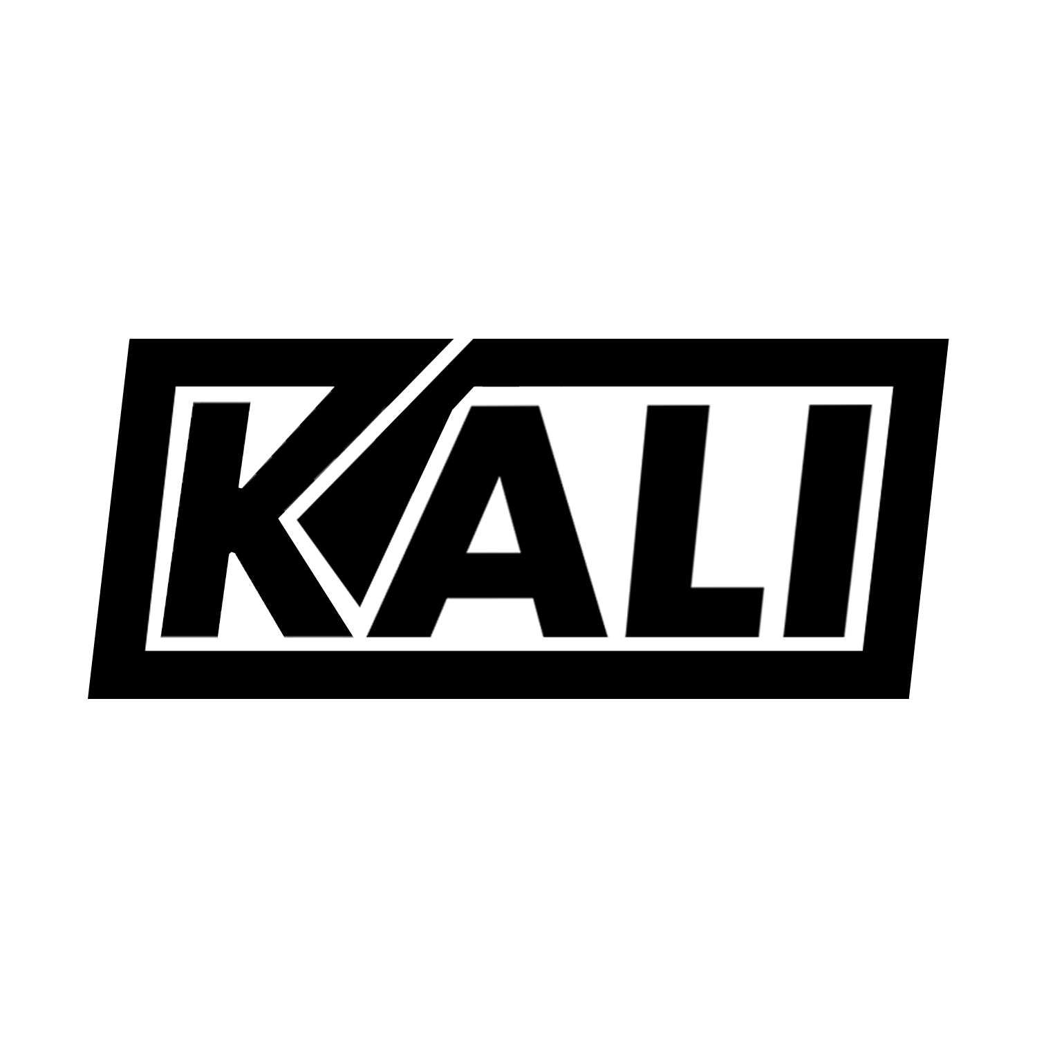 DJ KALI Logo